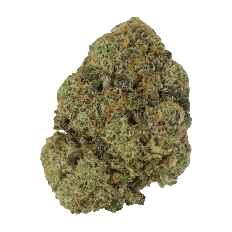 Captain’s Cake | WeedSmart Canada