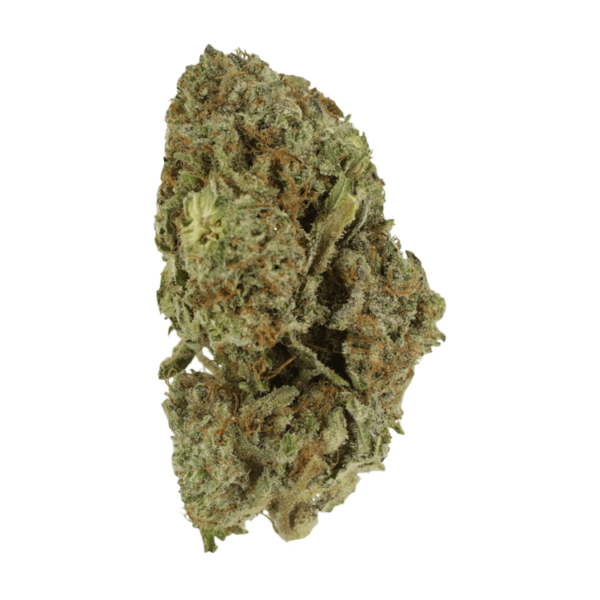 Gelato Sorbet – 1 ounce | WeedSmart Canada