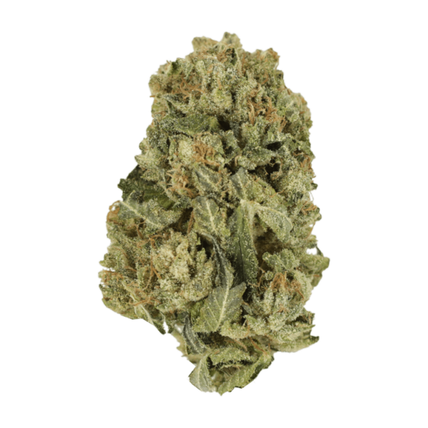 Black Domina | WeedSmart Canada