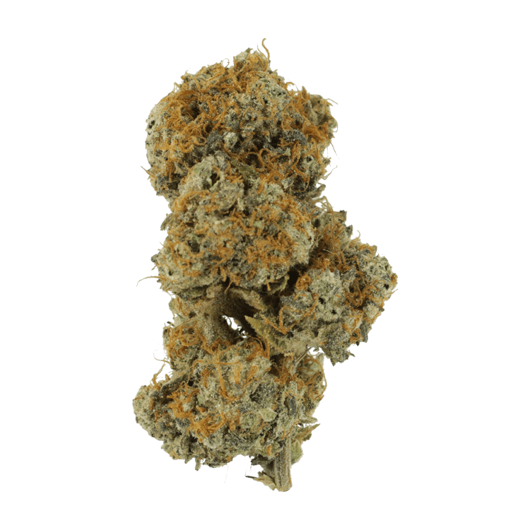 Stripper Spit | WeedSmart Canada