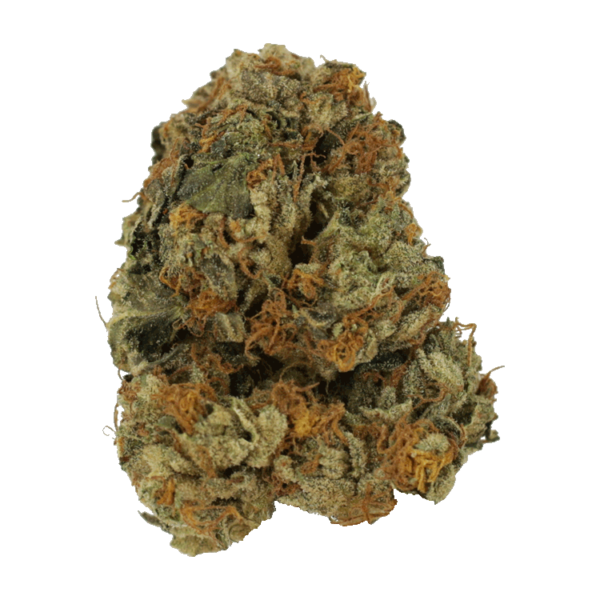 Dolato – 1OZ | WeedSmart Canada