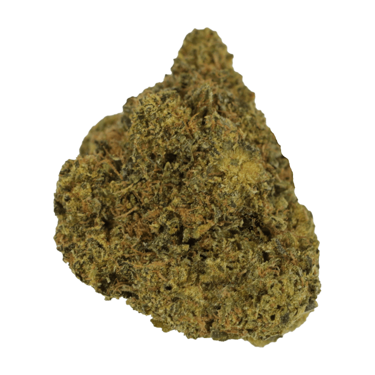 Dosi Dos | WeedSmart Canada Dosi Dos | WeedSmart Canada