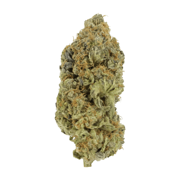 Critical Widow | WeedSmart Canada Critical Widow | WeedSmart Canada