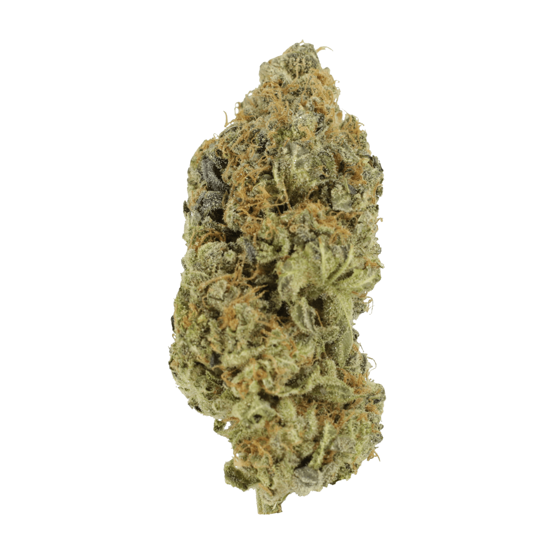 Critical Widow | WeedSmart Canada Critical Widow | WeedSmart Canada