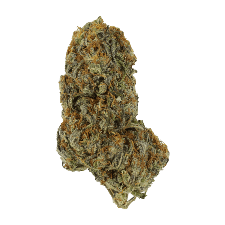 Dojaberry | WeedSmart Canada Dojaberry | WeedSmart Canada