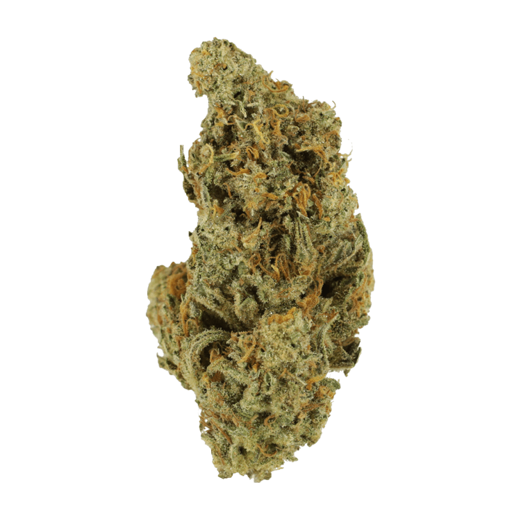 Mandarin Haze – 1 ounce | WeedSmart Canada Mandarin Haze – 1 ounce | WeedSmart Canada