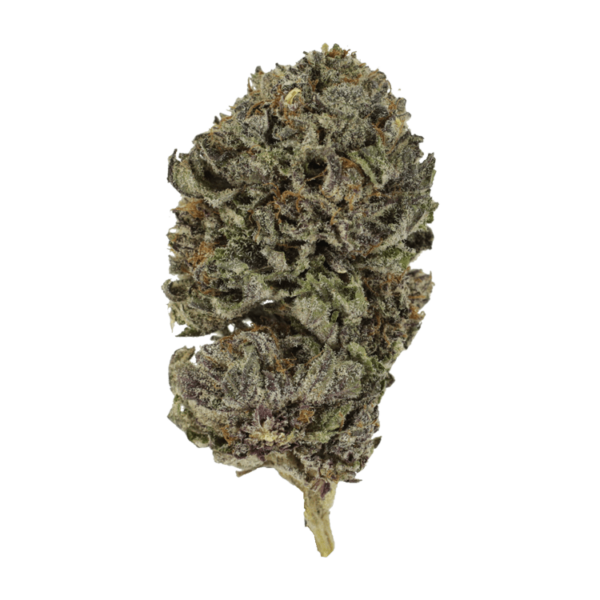 Purple Skunk | WeedSmart Canada Purple Skunk | WeedSmart Canada
