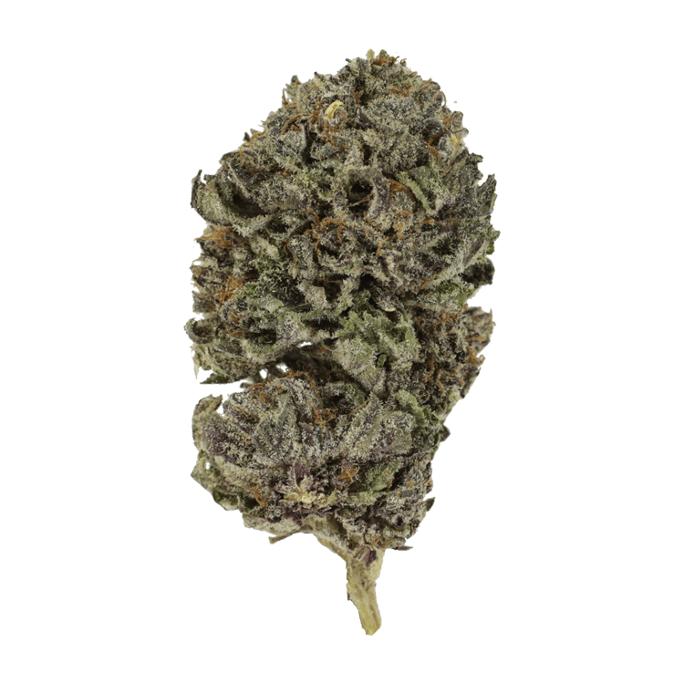 Purple Skunk | WeedSmart Canada Purple Skunk | WeedSmart Canada