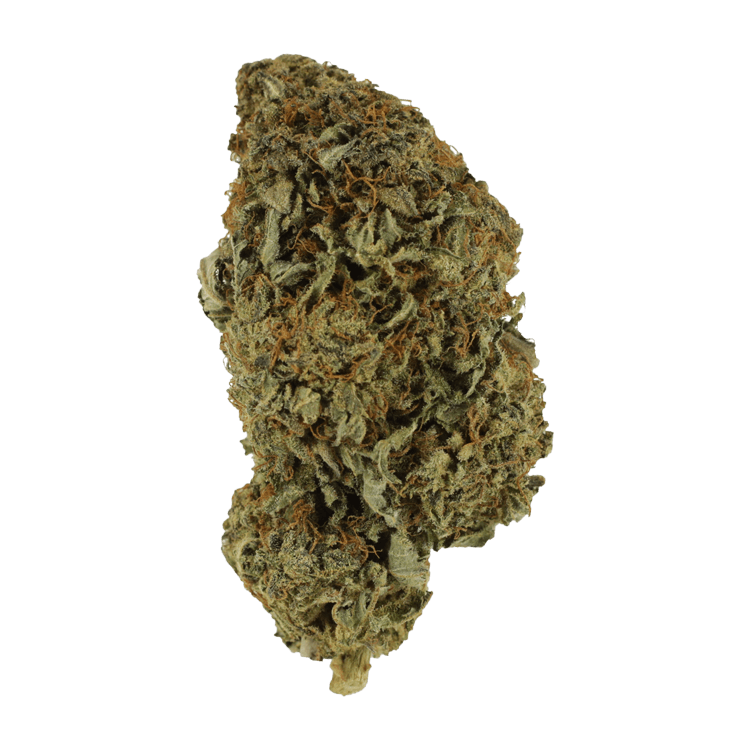 Sirius Black – 1 ounce | WeedSmart Canada Sirius Black – 1 ounce | WeedSmart Canada