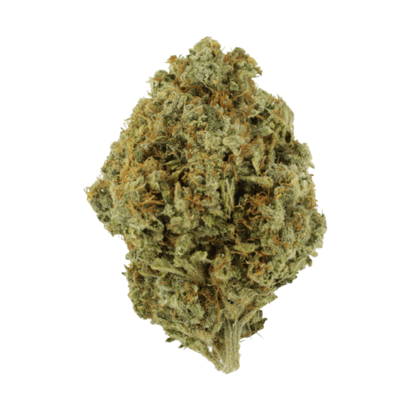 Orange Barb | WeedSmart Canada