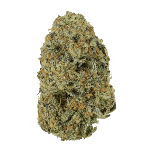 Northern Haze Express | WeedSmart Canada Northern Haze Express | WeedSmart Canada