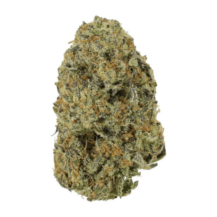 Northern Haze Express | WeedSmart Canada Northern Haze Express | WeedSmart Canada