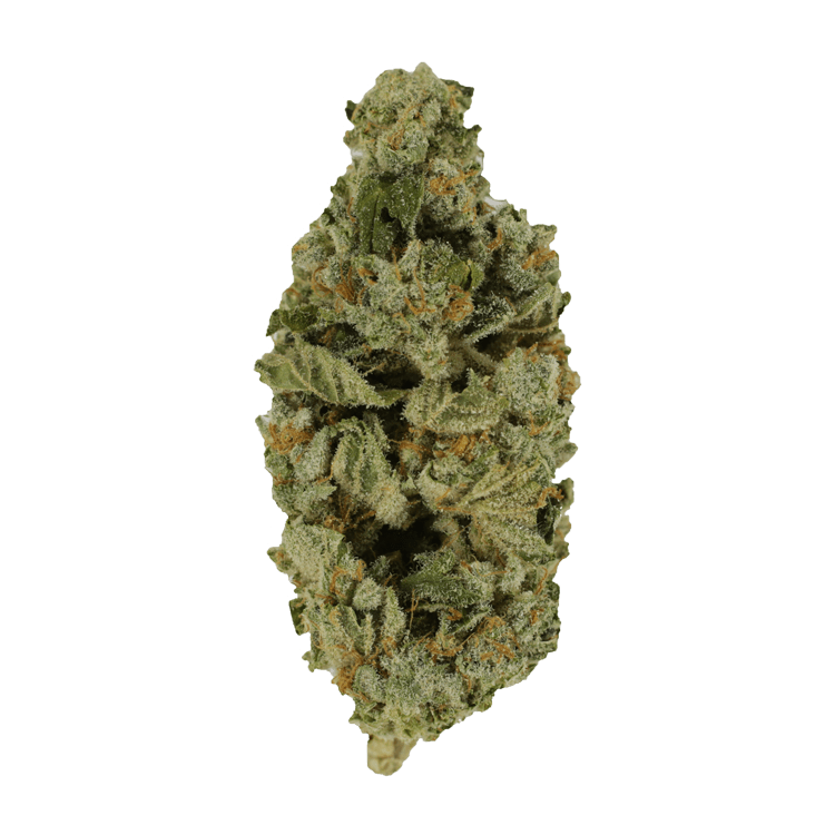 Crazy Glue | WeedSmart Canada