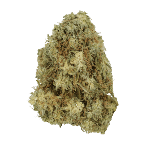 Hawaiian Snow | WeedSmart Canada Hawaiian Snow | WeedSmart Canada