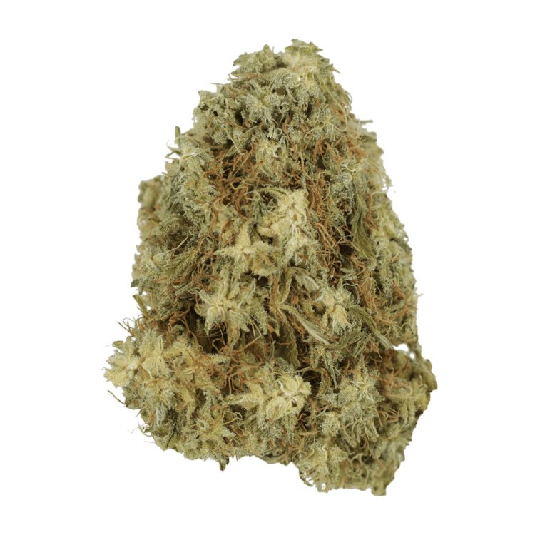Hawaiian Snow | WeedSmart Canada Hawaiian Snow | WeedSmart Canada