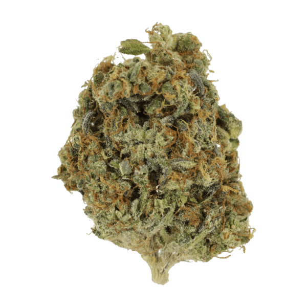 Sunset Sherbert | WeedSmart Canada Sunset Sherbert | WeedSmart Canada