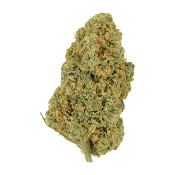 Lemon Bomb | WeedSmart Canada