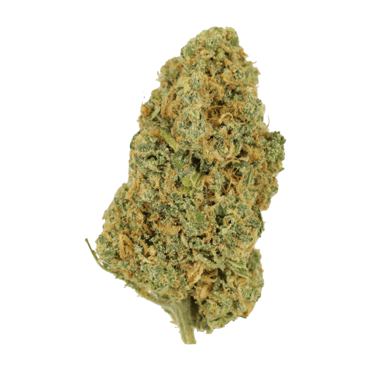 Lemon Bomb | WeedSmart Canada
