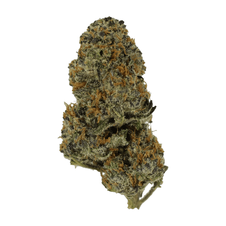 Pineapple Kush | WeedSmart Canada Pineapple Kush | WeedSmart Canada