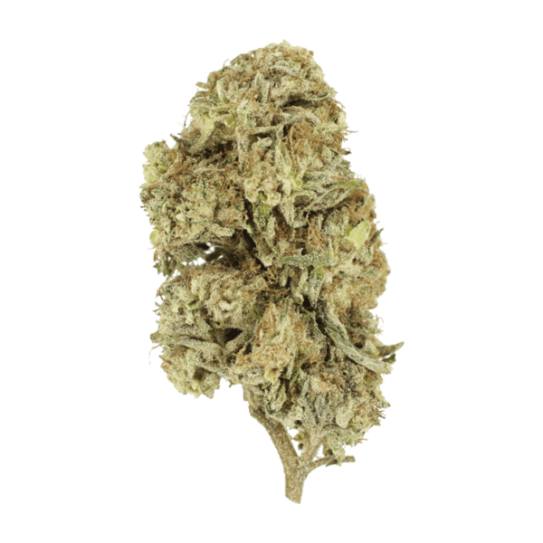 Cherry Wine (CBD) | WeedSmart Canada