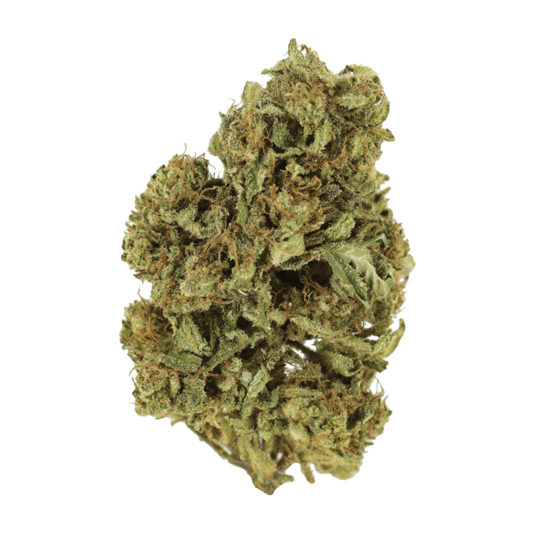 Cherry Wine (CBD) | WeedSmart Canada