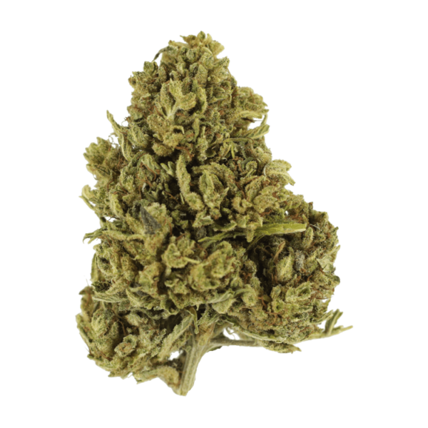 Cherry Wine (CBD) | WeedSmart Canada