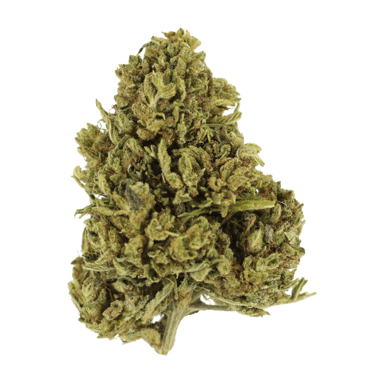 Cherry Wine (CBD) | WeedSmart Canada