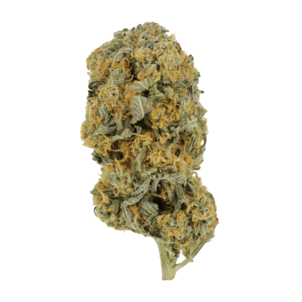 Sour Prince | WeedSmart Canada