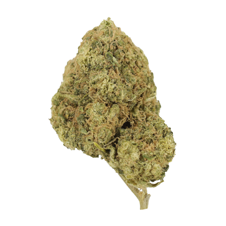 Mr Clean | WeedSmart Canada Mr Clean | WeedSmart Canada