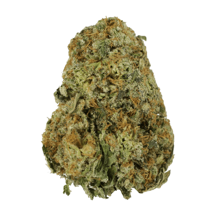 High School Sweetheart | WeedSmart Canada High School Sweetheart | WeedSmart Canada