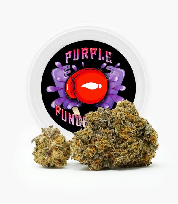 Westcoast Cali Tins – Premium Flower – Purple Punchsicle – 14g | WeedSmart Canada