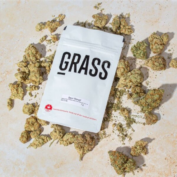 1/2OZ Sample Pack (AAA) – SAVE 20% | WeedSmart Canada