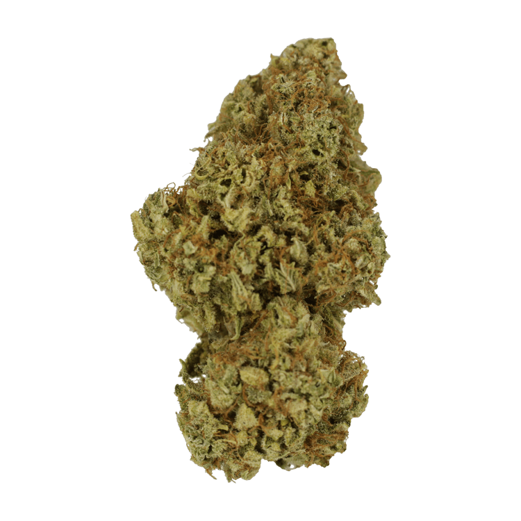 Sour Amnesia | WeedSmart Canada Sour Amnesia | WeedSmart Canada