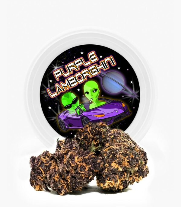 Westcoast Cali Tins – Premium Flower – Purple Lamborghini – 3.5g | WeedSmart Canada