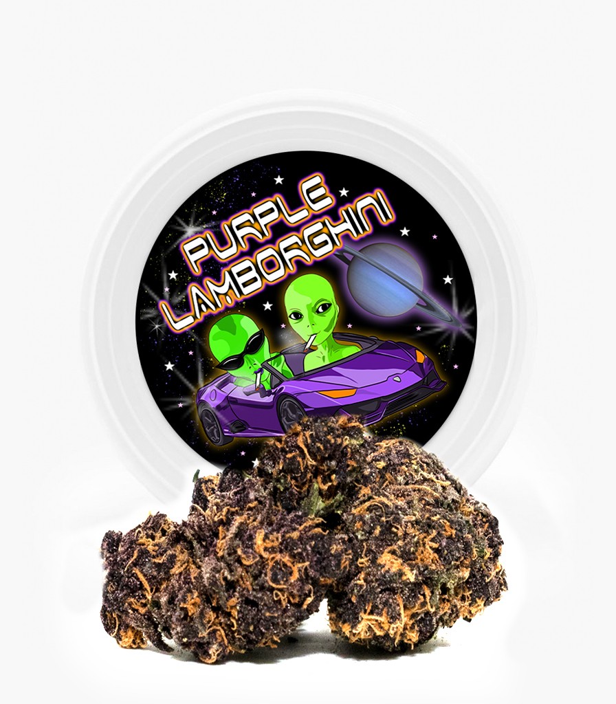 Westcoast Cali Tins – Premium Flower – Purple Lamborghini – 3.5g | WeedSmart Canada