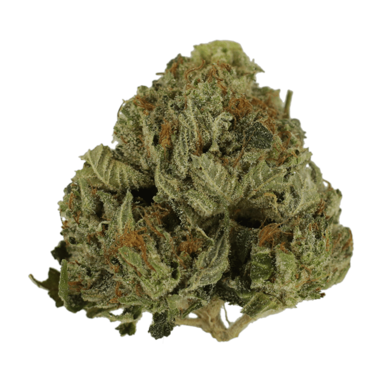 Pink Animal – 1 ounce | WeedSmart Canada