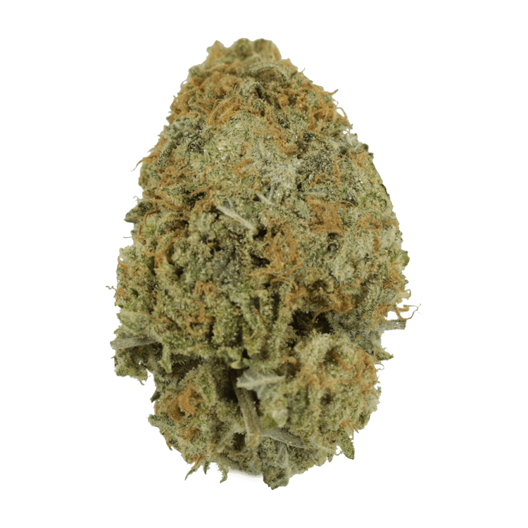 Pink Tuna (Popcorn) – $40/oz | WeedSmart Canada Pink Tuna (Popcorn) – $40/oz | WeedSmart Canada