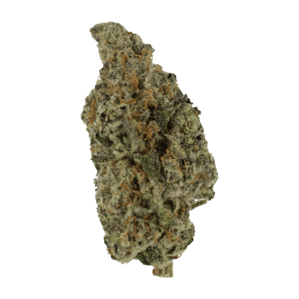 Biscotti Sundae | WeedSmart Canada Biscotti Sundae | WeedSmart Canada