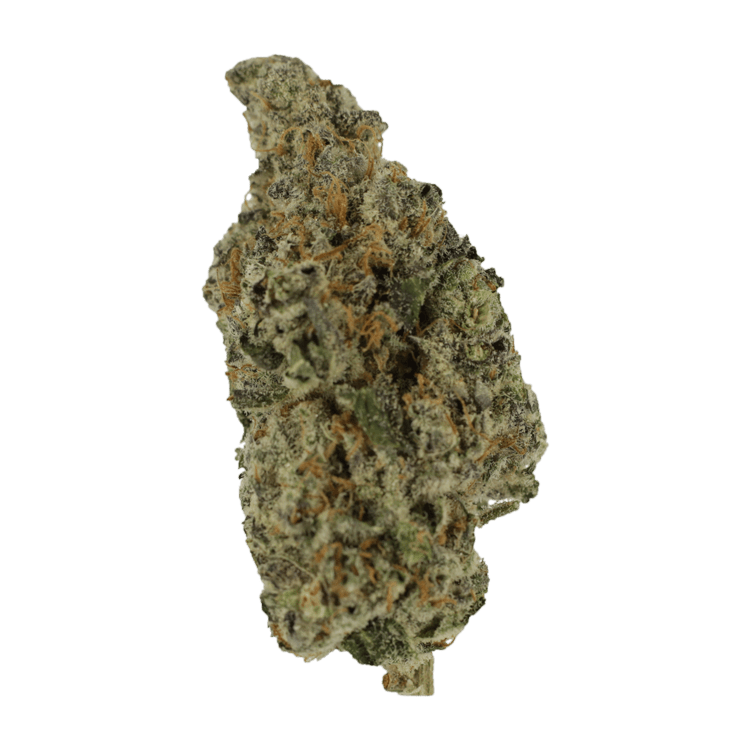 Biscotti Sundae | WeedSmart Canada Biscotti Sundae | WeedSmart Canada