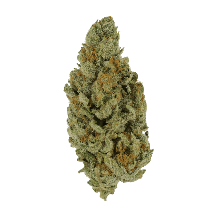 Captain Crunch | WeedSmart Canada Captain Crunch | WeedSmart Canada