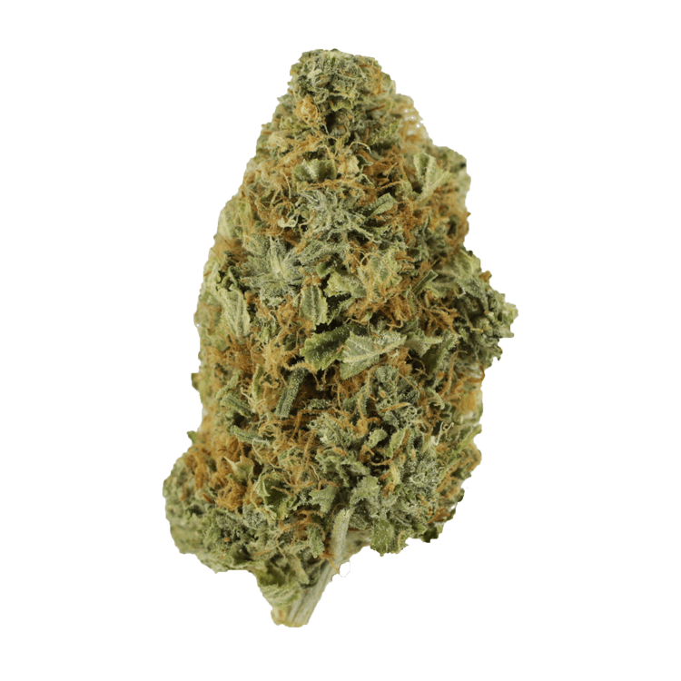 Purple Tuna – 1 ounce | WeedSmart Canada