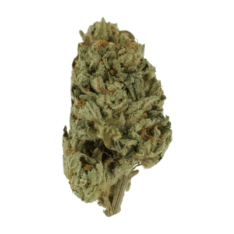 Biscotti Sundae | WeedSmart Canada