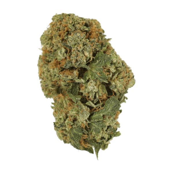 Dank Schrader | WeedSmart Canada Dank Schrader | WeedSmart Canada