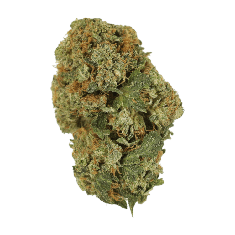 Dank Schrader | WeedSmart Canada Dank Schrader | WeedSmart Canada