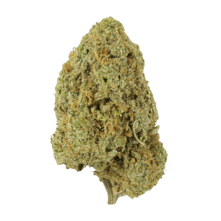 Sugar Pine | WeedSmart Canada Sugar Pine | WeedSmart Canada