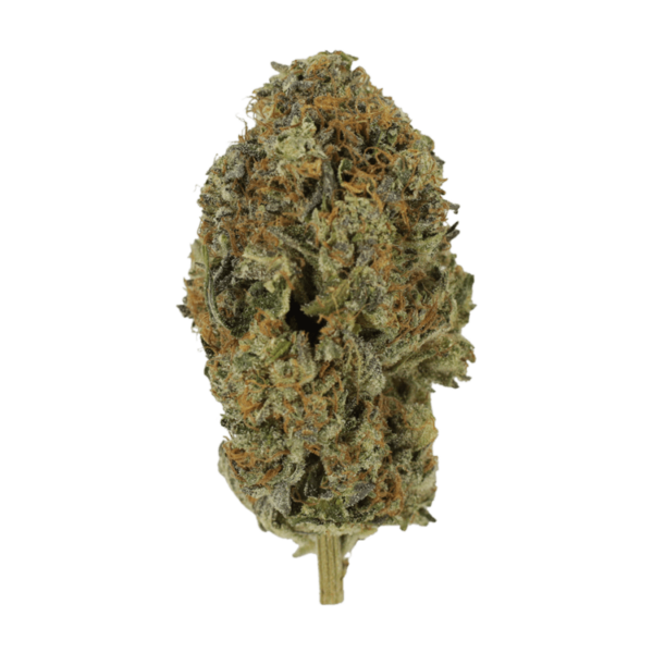 Acapulco Gold | WeedSmart Canada