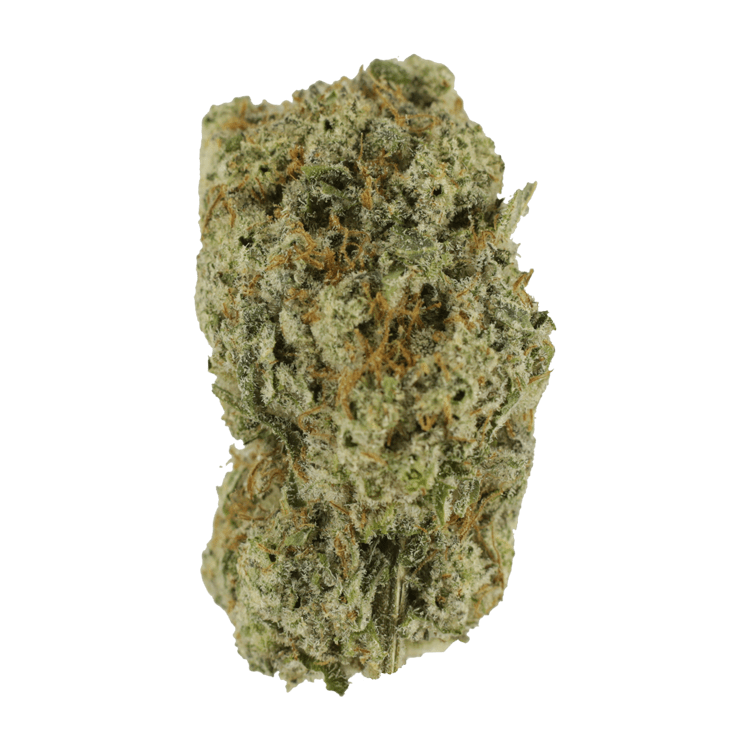 Eleven Roses | WeedSmart Canada