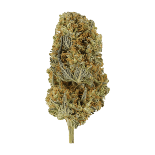 Headband | WeedSmart Canada