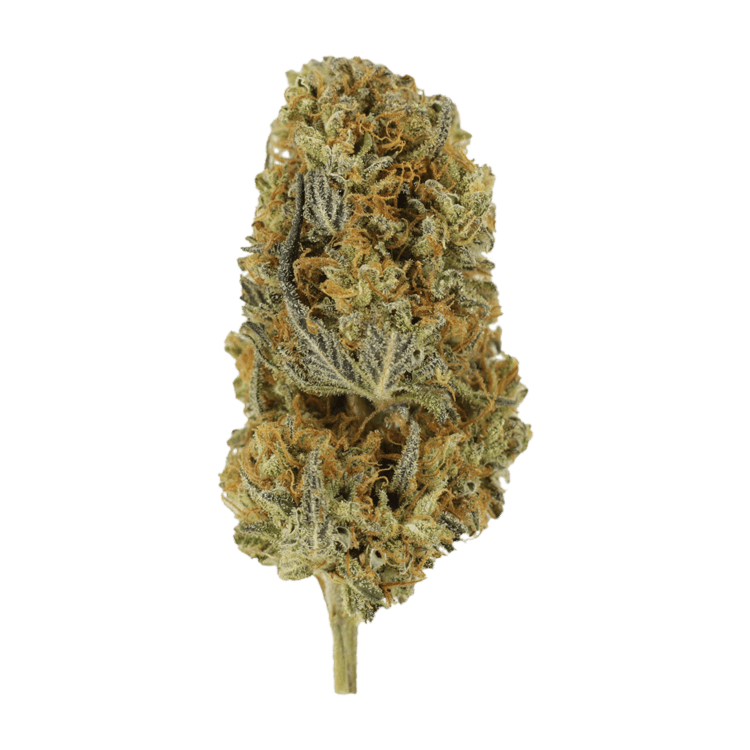 Headband | WeedSmart Canada