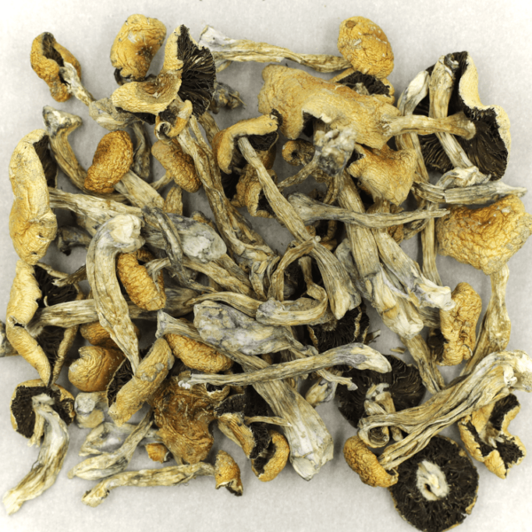 Puerto Rican | WeedSmart Canada Puerto Rican | WeedSmart Canada